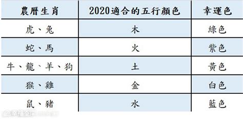 生肖機車顏色|【機車顏色風水】騎乘好運！機車顏色風水選得妙，財運旺旺來